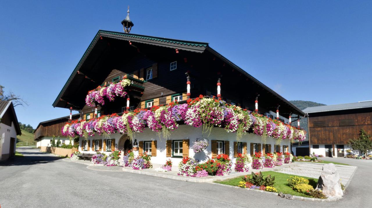 Thomanhof Chalet-Appartement Saalfelden ภายนอก รูปภาพ